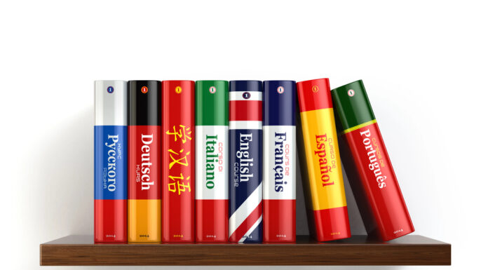 Vertaler Frans: uw sleutel tot taalkundige verfijning frans vertalen